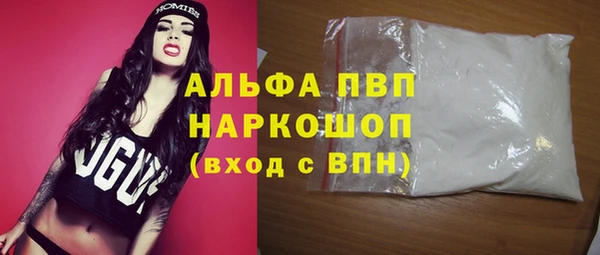 прущий лед Богданович