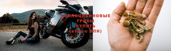 прущий лед Богданович