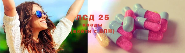 прущий лед Богданович