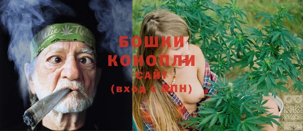 соль ск Няндома